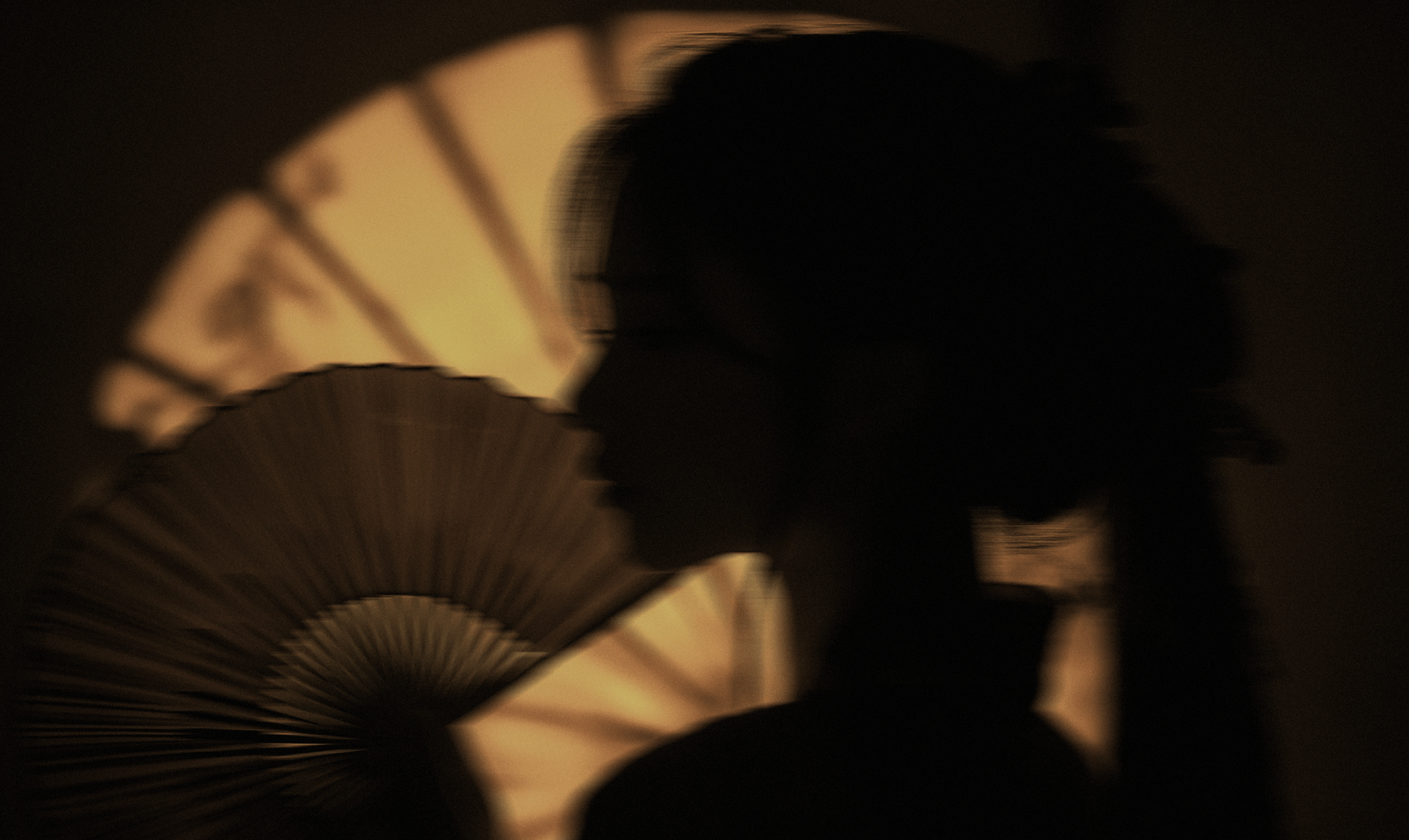 giraudi song qi restaurant luxury gourmet chinese dish