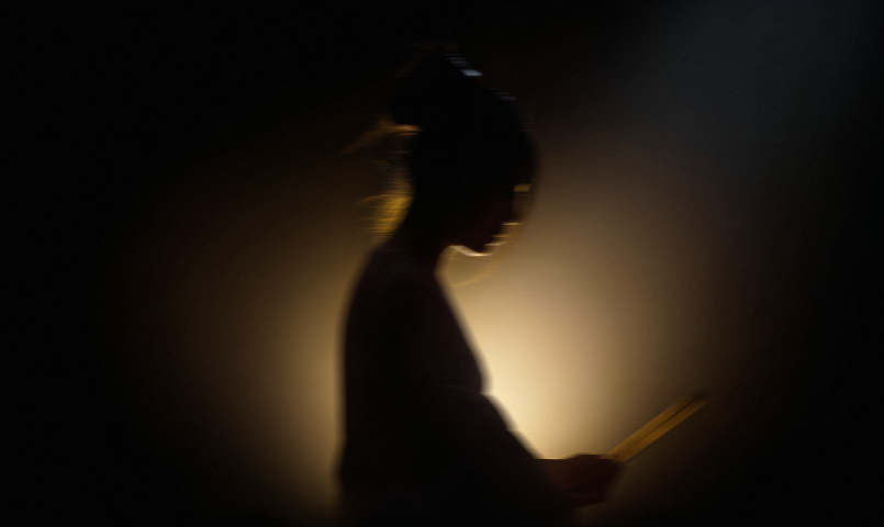 song qi restaurant luxury gourmet dish