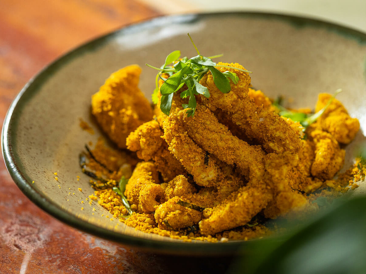 song sao paulo chicken crispy